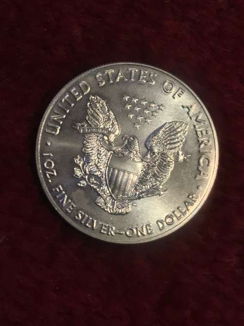 2018 USA EAGLE ( SILVER )