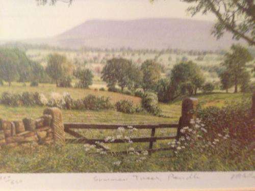 SUMMER TREES PENDLE