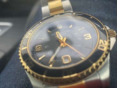 Victorinox Maverick Watch