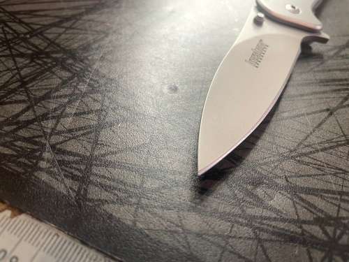 Kershaw Zing 1730ss