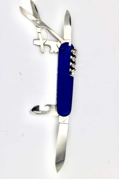 Victorinox Climber Blue