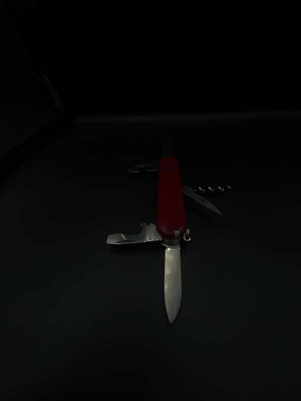 Victorinox Spartan