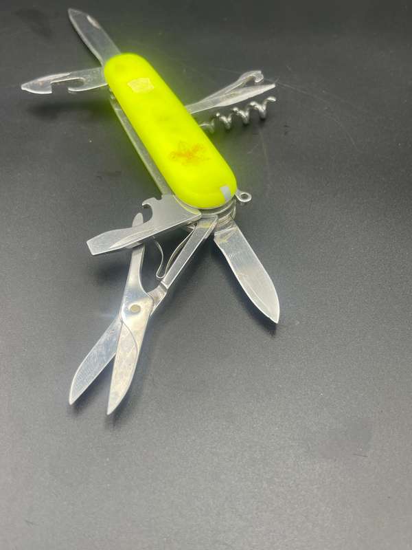 Victorinox Climber Scout Stay Glow