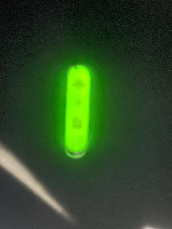 Victorinox Climber Scout Stay Glow