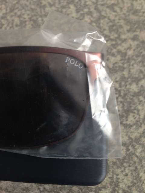 Polo Sunglasses