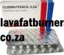 Clenbuterol, Lose Weight Fast, Burn Fat, ECA stack, Fat Burner