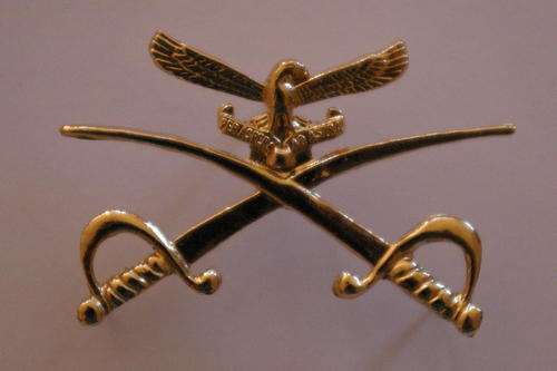 Airforce PTI Badge - 3 pins