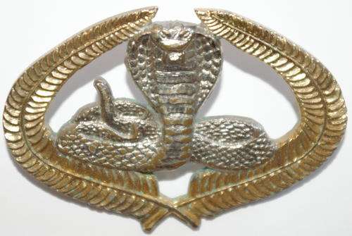 EXECUTIE OUTCOMES BADGE -2 PINS