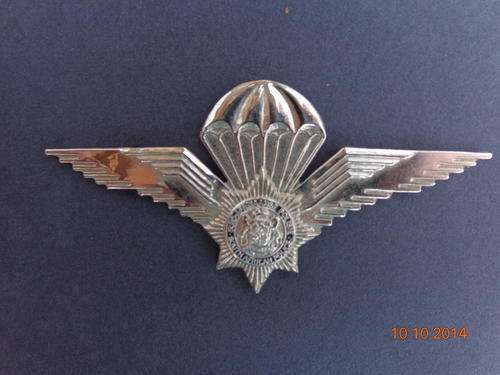 S A P Wings - excellent condition - 2 pins - mark in picture is a reflection.