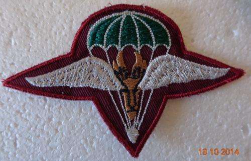 Parabat Beret Badge