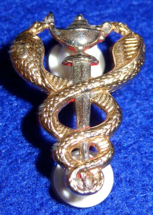 Bi Metal Nursing Officers Breast Badge - 2 original pins