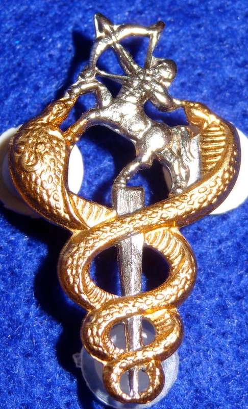 Veterinary Surgeons Breast Badge - 2 original pins