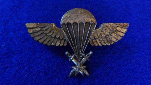 Unknown Special Forces Wings