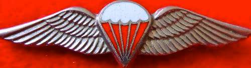 Special Forces HALO parachute wings - ORIGINAL