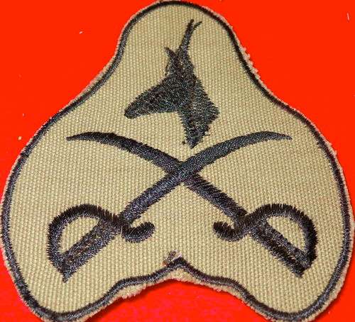Cloth PTI badge - excellent condition