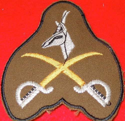 Cloth PTI Badge - excellent condition