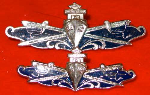 SA Navy Executive Officer Breast Badge and mess dress - silver