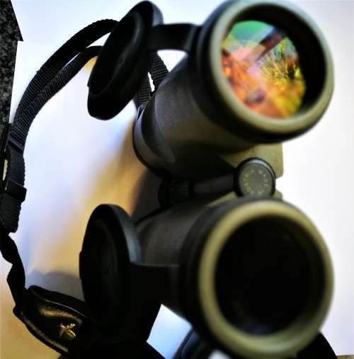 SWAROVSKI 10X42 SLC BINOCULARS USED  IMMACULATE CONDITION - BEST QUALITY   MADE IN AUSTRIA