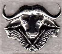 SADF - 32 Battalion Beret Badge - Rare