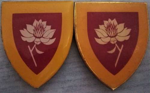SADF - EXTREMELY RARE - Facing pair Women's Army College Flahes