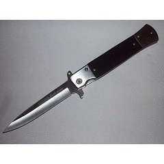 Stainless dagger