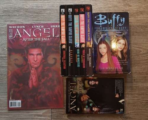Buffy The Vampire Slayer and Angel Bundle