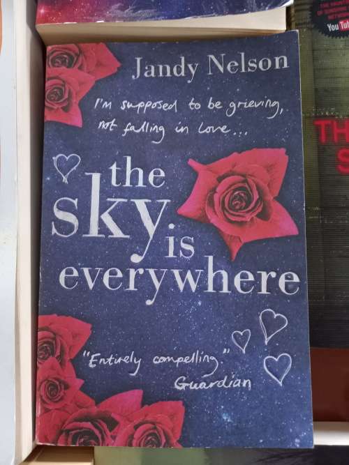 The Sky Is Everywhere by Jandy Nelson