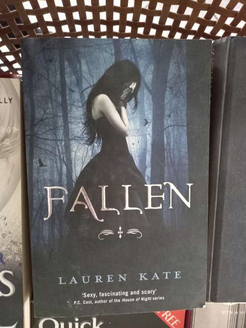 Fallen (Fallen, #1) by Lauren Kate