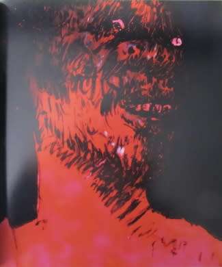 ANGAZA   AFRIKA: African Art Now