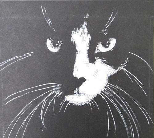 Gouache painting of a cat by Gill Burman (6)