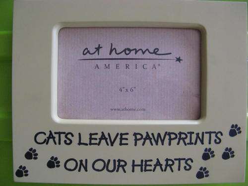 ***Great Gift - Photo Frame for your Pet - Cat