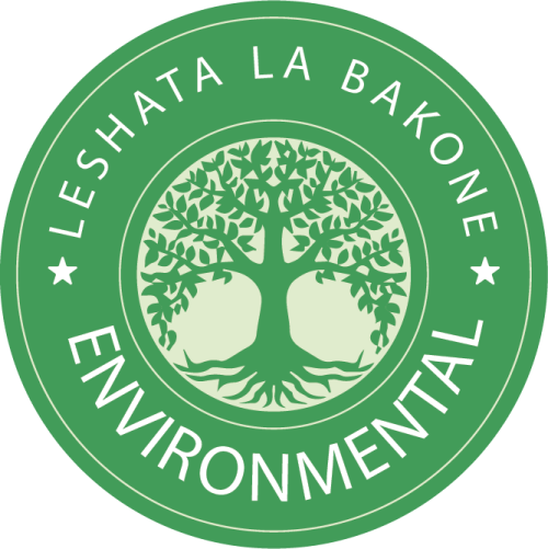 Professional Logo Design Service