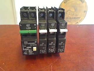 Earth Leakage 63A + Circuit Breakers 20A x 3 (All CBi)