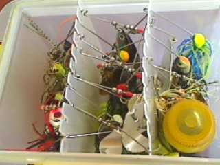 Bass Lures x 16 in Plastic Case