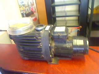 Speck 0.75 Pool Pump (Collection Only !!!!!!!)