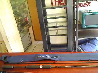 Fenwick 10 Foot Eagle GT Dropshot Edition Rod + Bag (Collection Only !!!!)