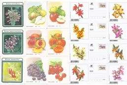THIRTY-ONE VARIOUS POST CARDS