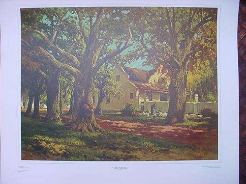 Print of Tinus de Jongh, 41 X 53 cm. Nice Cape farm scene.