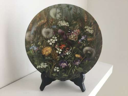 Set of 12 Botanical Furstenberg wild beauty wall plates
