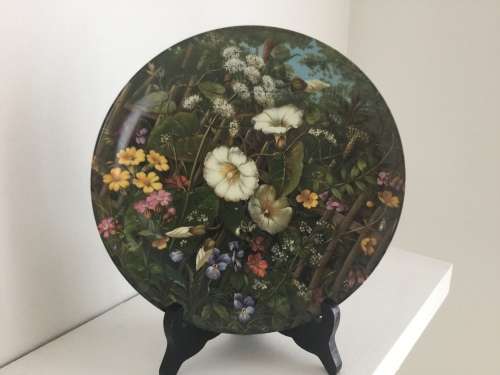 Set of 12 Botanical Furstenberg wild beauty wall plates