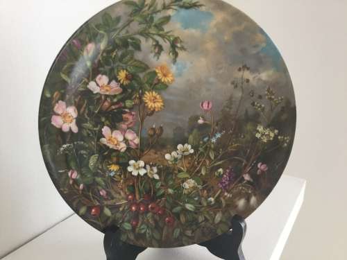 Set of 12 Botanical Furstenberg wild beauty wall plates
