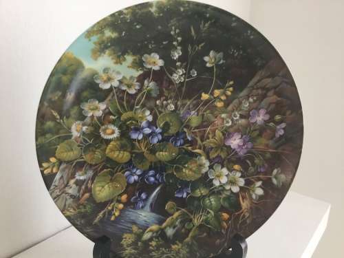 Set of 12 Botanical Furstenberg wild beauty wall plates