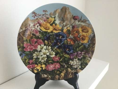Set of 12 Botanical Furstenberg wild beauty wall plates