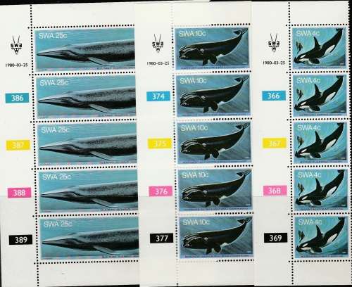 SWA    6 CONTROLS OF 5    WHALES