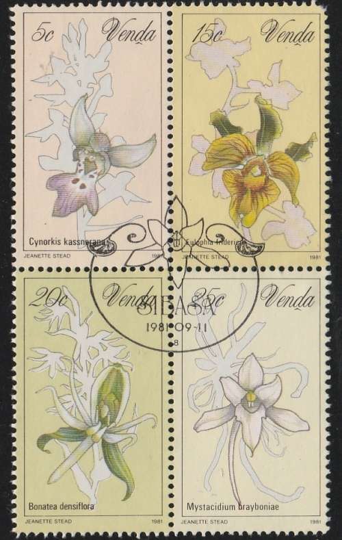VENDA   ORCHIDS