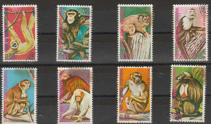 GUINEA     EQUATORIAL
