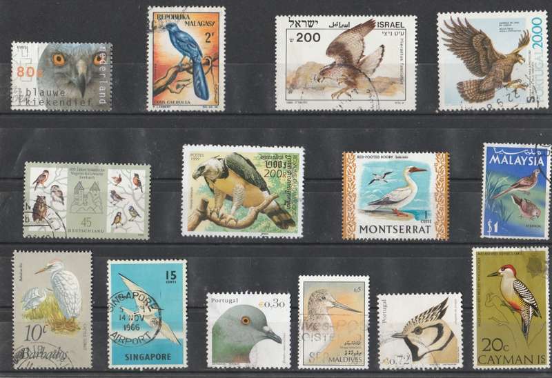 BIRDS   THEMATICS