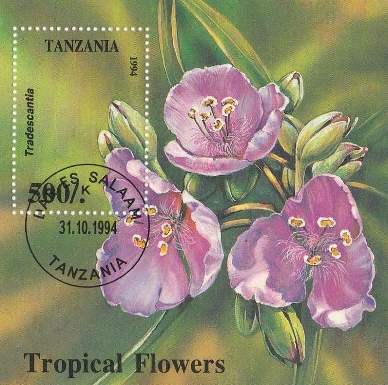 TANZANIA     1994  SGMS1924       TROPICAL FLOWERS MINI SHEET