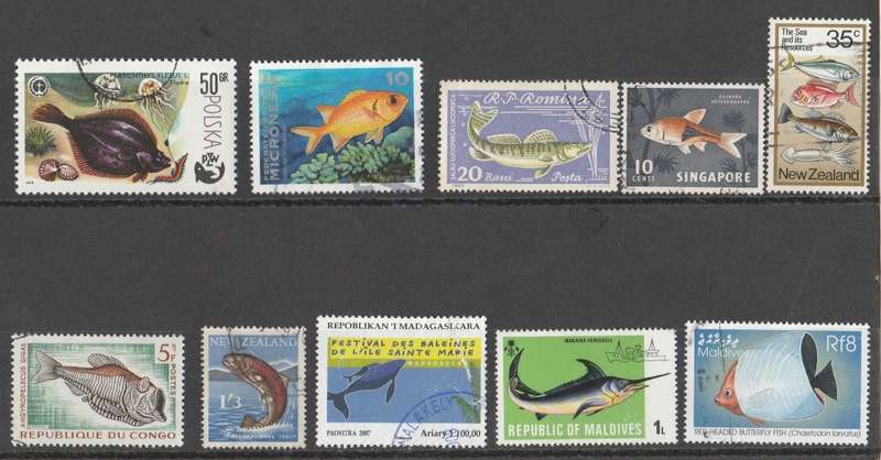 FISH   -THEMATICS