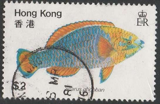 HONG KONG     1981    SG 398